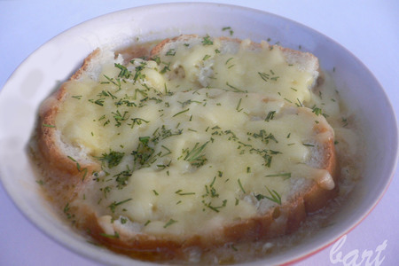Фото к рецепту: Перигорский хлебный суп..