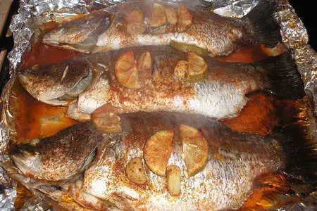 Рыбка от рафаэля