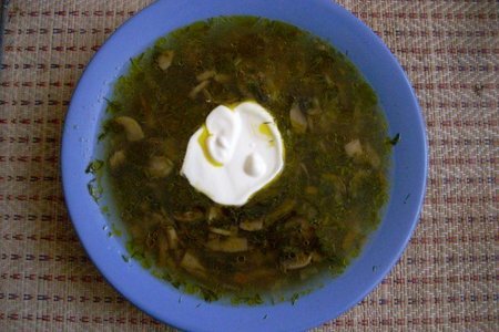Суп из свежих шампиньонов со сметанкой)
