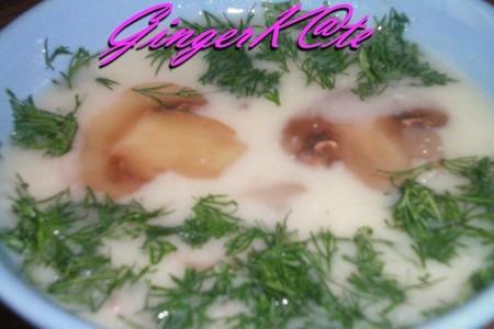 Картофельный суп по-старочешски с грибами (bramborová polévka)