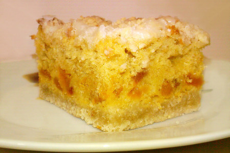 Фото к рецепту: Абрикосовый песочно-бисквитный пирог