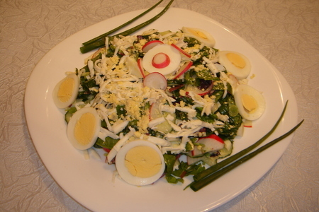 Весенний салат из редиса  со шпинатом