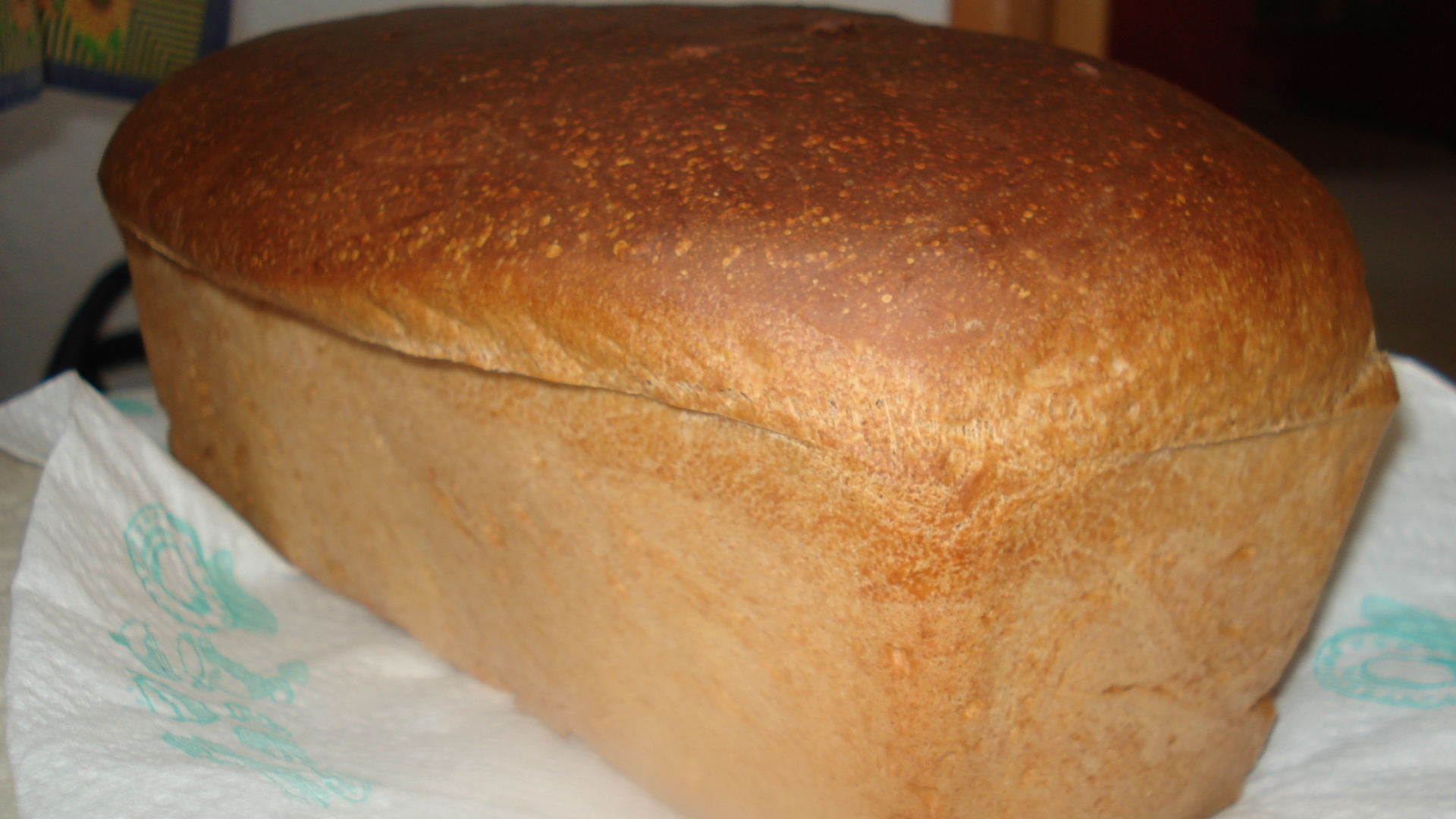 Пекти. Французский хлеб в хлебопечке. Газовая хлебопечь своими руками. Как испечь хлеб в духовке быстро и вкусно. Филипповский хлеб рецепт приготовления в домашних условиях.