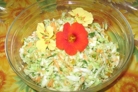 Фото к рецепту: Легкий салатик из капусты