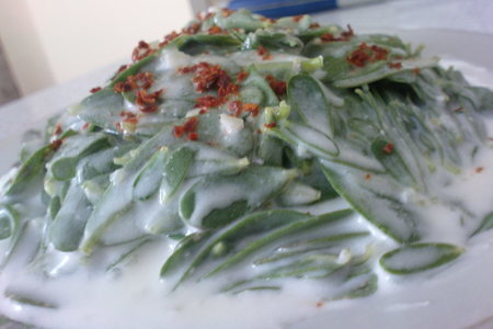 Фото к рецепту: Портулак с йогуртом (yoğurtlu semizotu salatası)