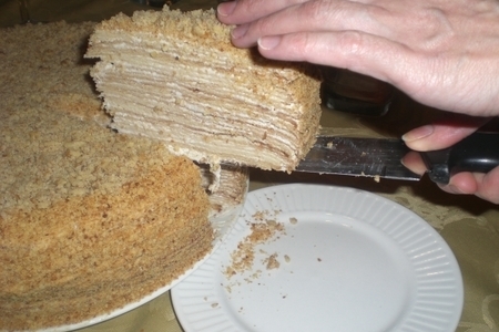 Фото к рецепту: Торт медовик "наполеон" (   )