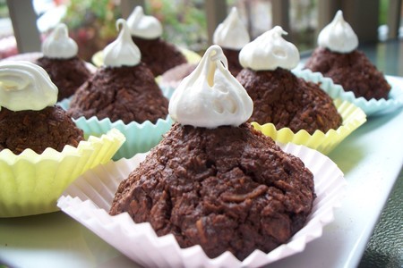 Фото к рецепту: Печенье овсяно шоколадно кокосовое !!!!