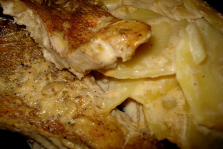 Фото к рецепту: Гратен из картофеля и рыбы