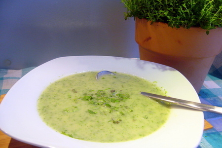 Фото к рецепту: Зеленый суп-крем "в ожидании весны"