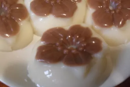 Желе из топлёного молока с шоколадом
