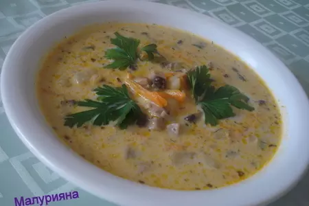Суп грибной с молоком