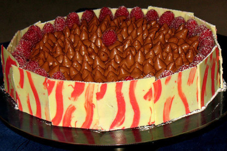 Фото к рецепту: Шоколадно-малиновый чизкейк под трюфельным кремом