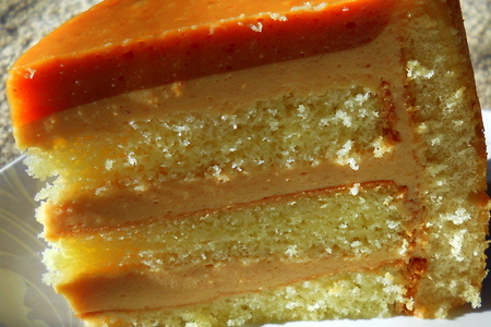 Фото к рецепту: Торт-мусс"персиковая шарлотка"