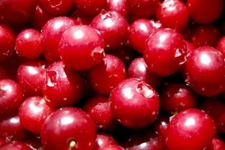 Моченая брусника к мясу