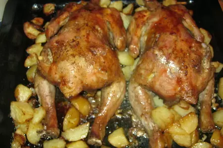 Курочки близняшки=)