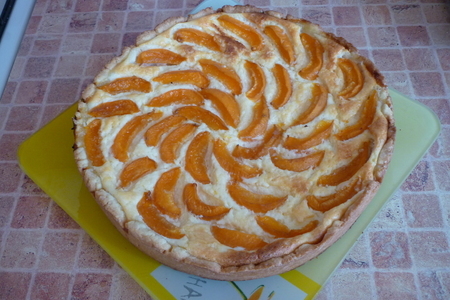 Открытый творожный пирог с абрикосами