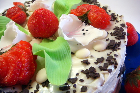 Маковый торт с белым шоколадом и свежими фруктами (без муки).