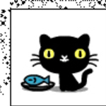 blackcat