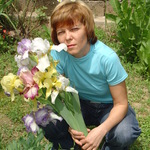 света