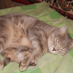 фатьянова