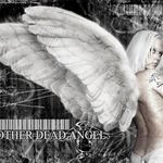 lana)))))))))))