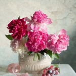 поваренка