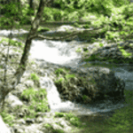 курц