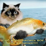nastya17