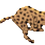 alana4ka