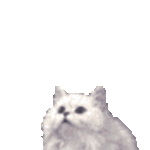 кисище