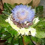 galina-blume