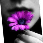 anja @