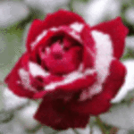 natkayes_15@mail.ru