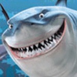 sharkstation