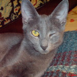 кузя84