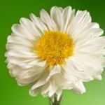 onill