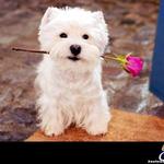 anna.m
