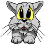 dooly