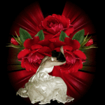 jasmin 28