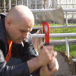 davidovich