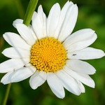 to_ha777