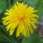 lushta9@mail.ru