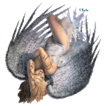 beladonna_