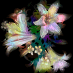 merisaria