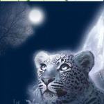 viktor_
