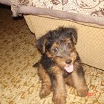 natta.bella
