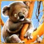koalla
