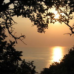sikvaruli