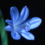 milena2007