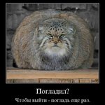 лон-ка
